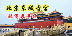 裸体诱惑群交中国北京-东城古宫旅游风景区